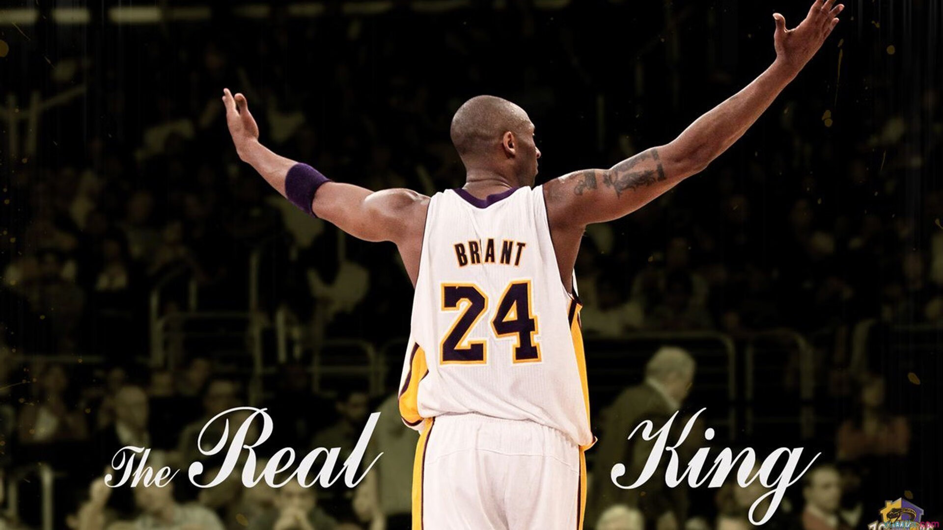 当足球战术驶入F1赛道，范戴克的防守大师班与葡萄牙的致命一击